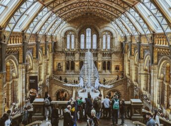 Family Experiences in London